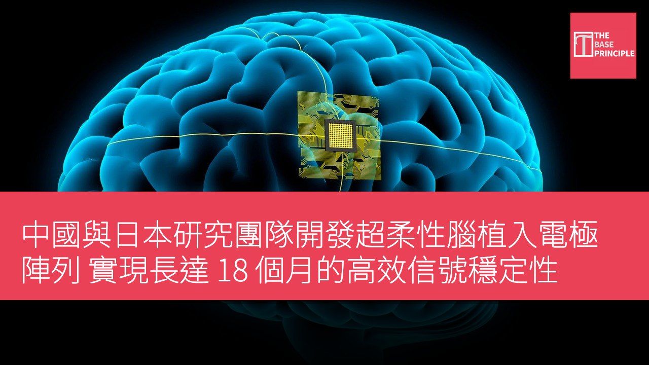 中國與日本研究團隊開發超柔性腦植入電極陣列 實現長達 18 個月的高效信號穩定性