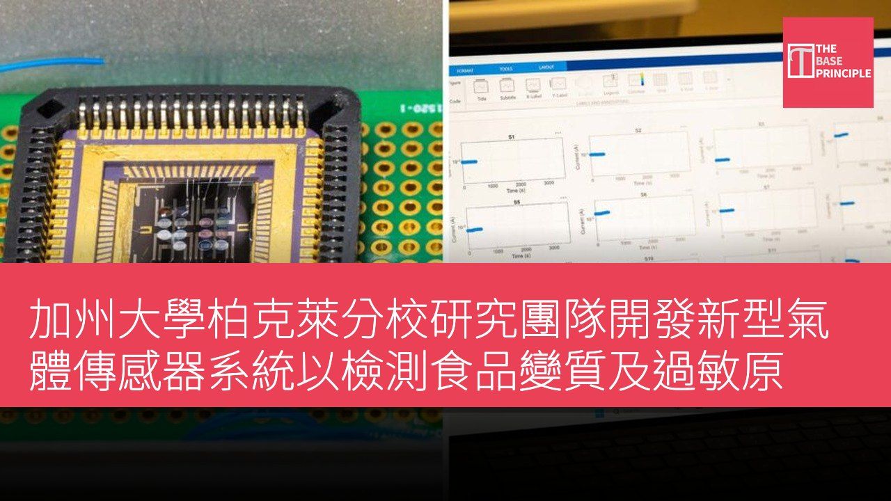 加州大學柏克萊分校研究團隊開發新型氣體傳感器系統以檢測食品變質及過敏原