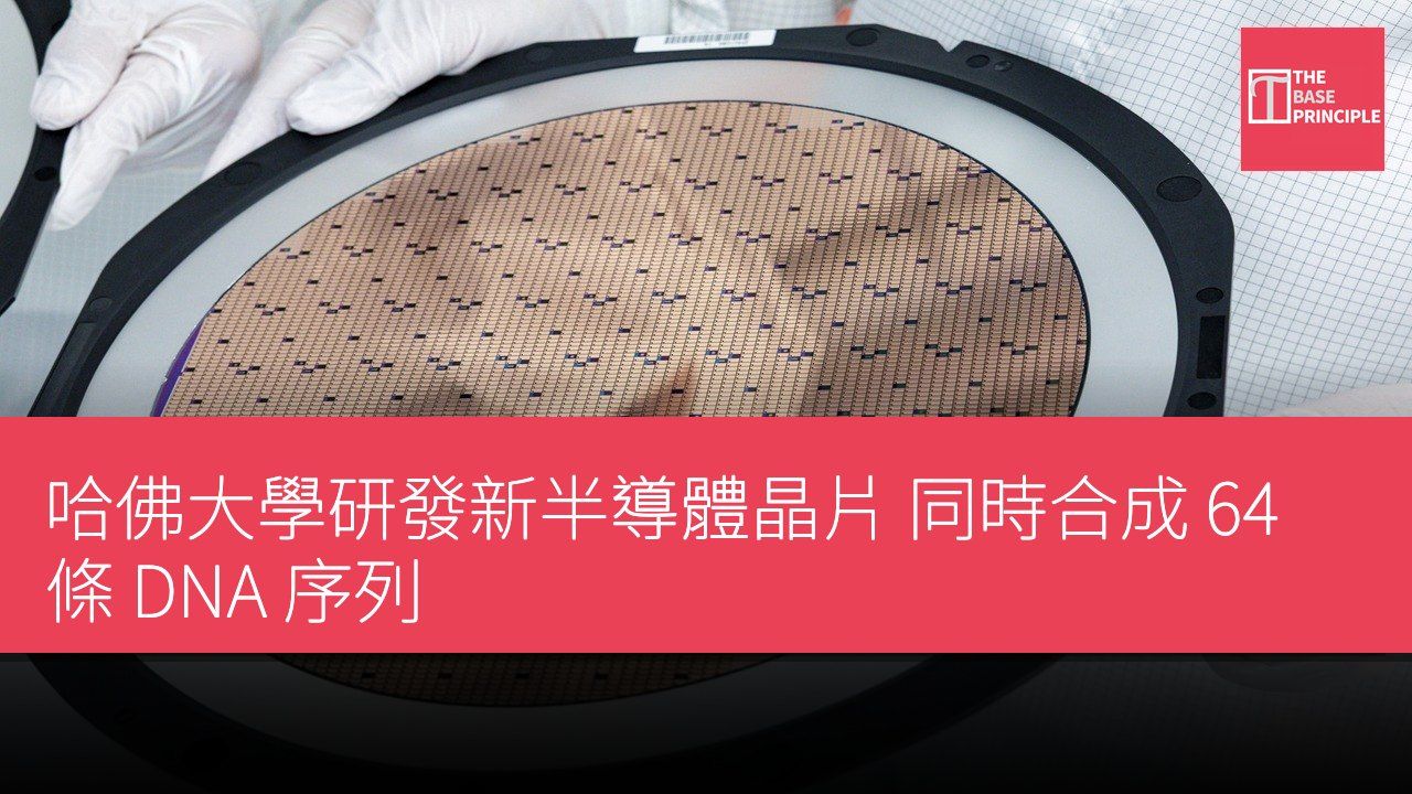 哈佛大學研發新半導體晶片 同時合成 64 條 DNA 序列