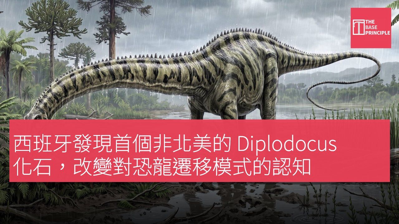 西班牙發現首個非北美的 Diplodocus 化石,改變對恐龍遷移模式的認知