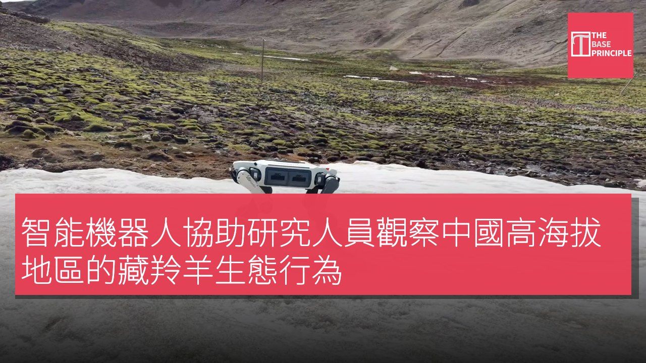 智能機器人協助研究人員觀察中國高海拔地區的藏羚羊生態行為