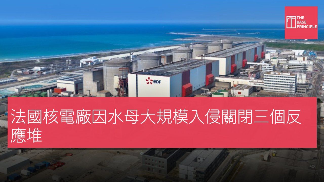 法國核電廠因水母大規模入侵關閉三個反應堆