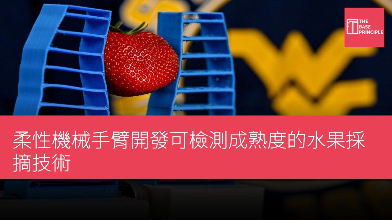 柔性機械手臂開發可檢測成熟度的水果採摘技術