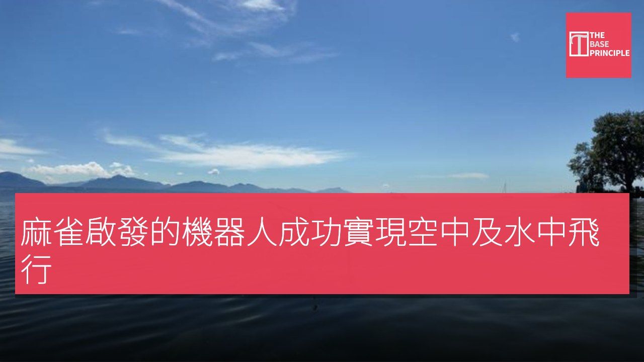 麻雀啟發的機器人成功實現空中及水中飛行