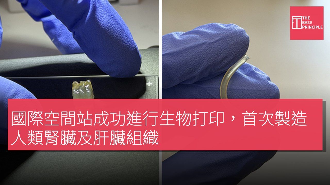 國際空間站成功進行生物打印,首次製造人類腎臟及肝臟組織