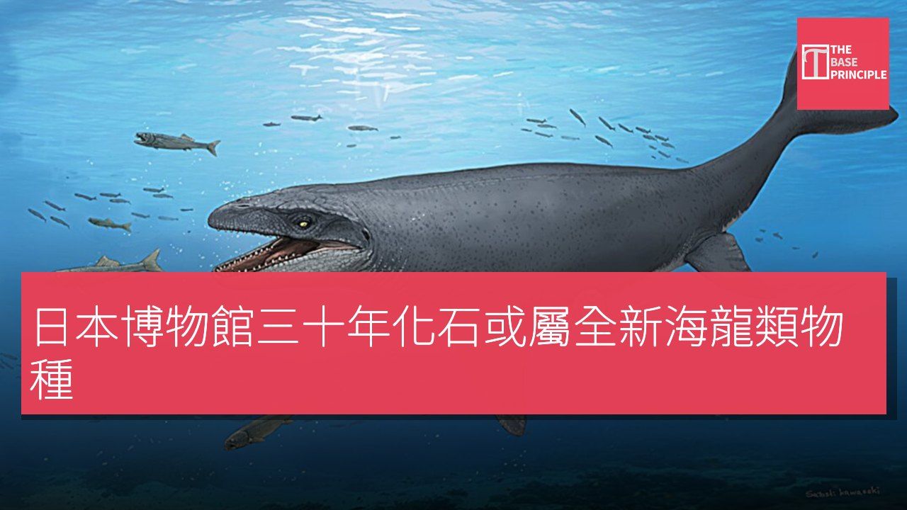 日本博物館三十年化石或屬全新海龍類物種