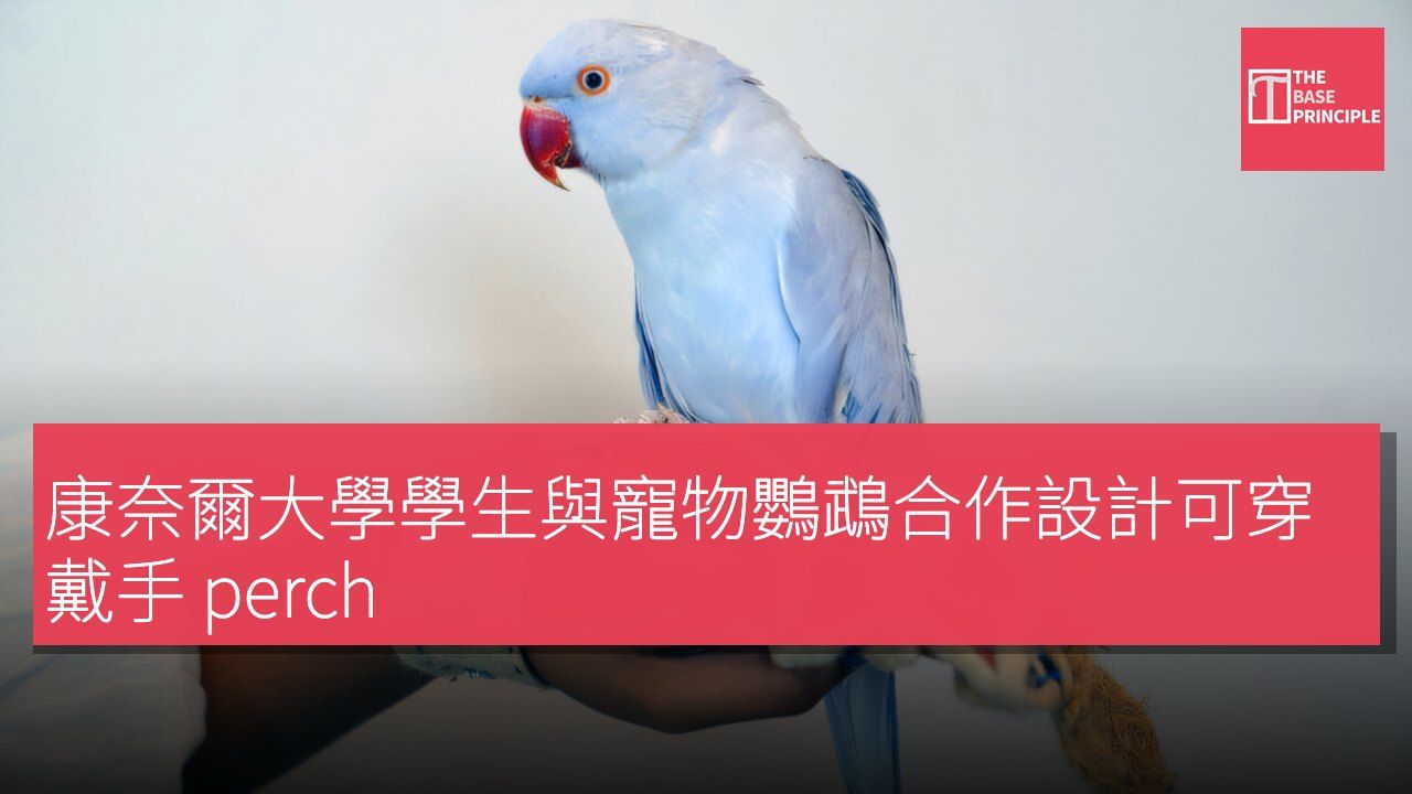 康奈爾大學學生與寵物鸚鵡合作設計可穿戴手 perch