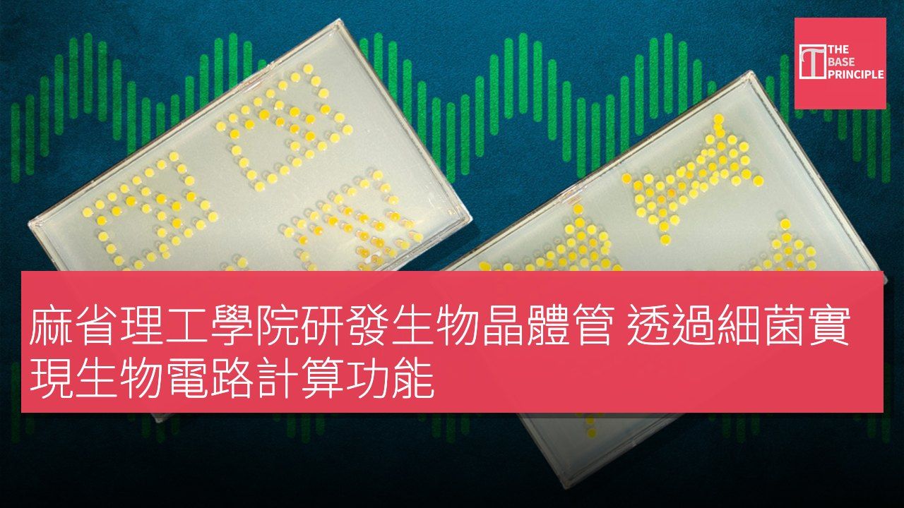 麻省理工學院研發生物晶體管 透過細菌實現生物電路計算功能