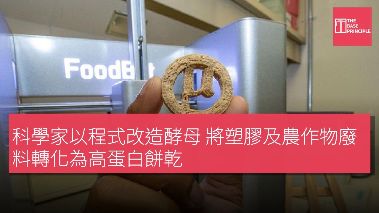科學家以程式改造酵母 將塑膠及農作物廢料轉化為高蛋白餅乾