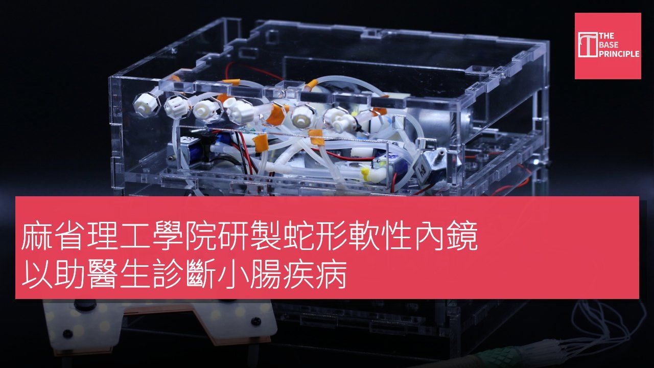 麻省理工學院研製蛇形軟性內鏡 以助醫生診斷小腸疾病