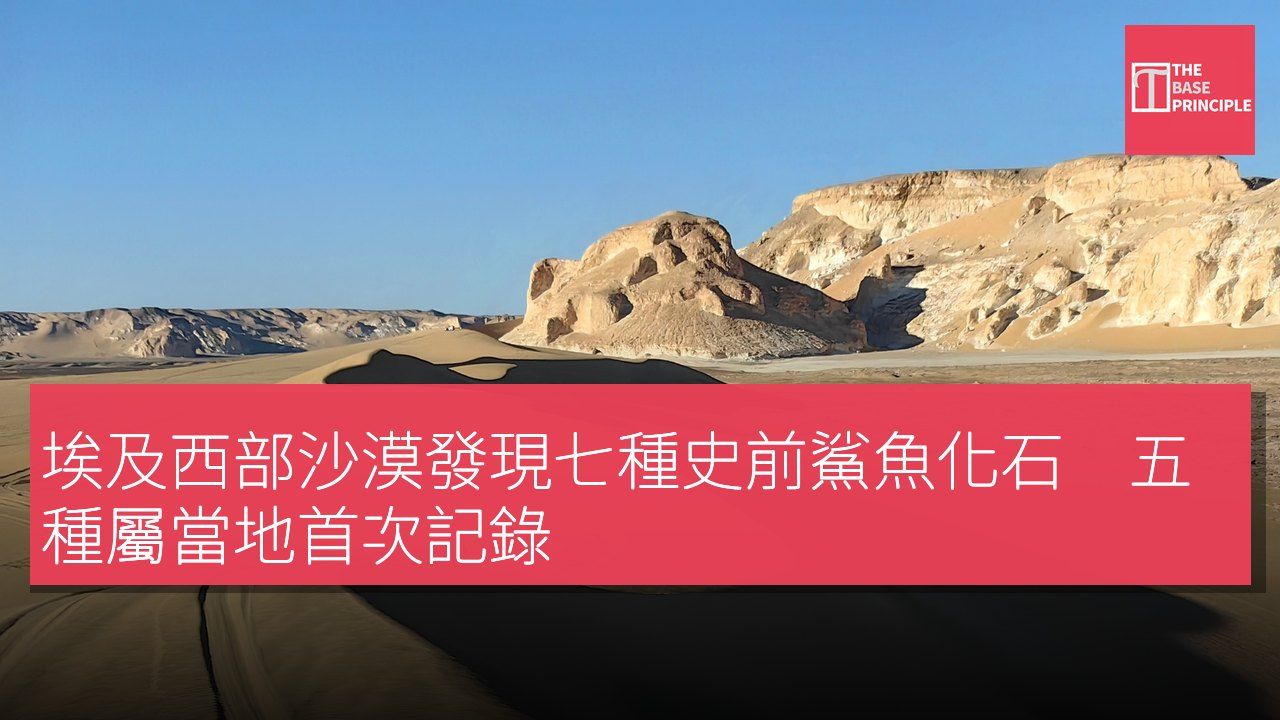 埃及西部沙漠發現七種史前鯊魚化石 五種屬當地首次記錄