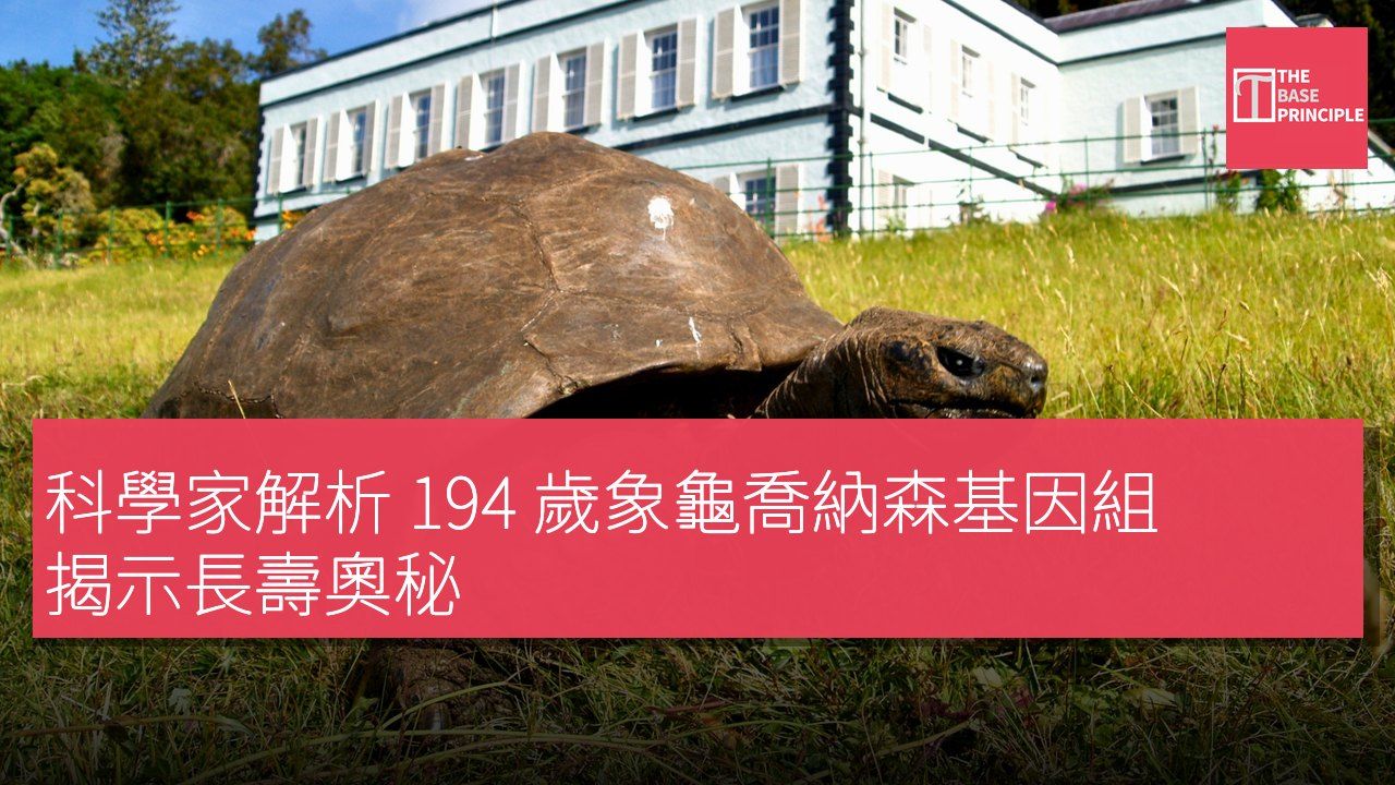 科學家解析 194 歲象龜喬納森基因組 揭示長壽奧秘