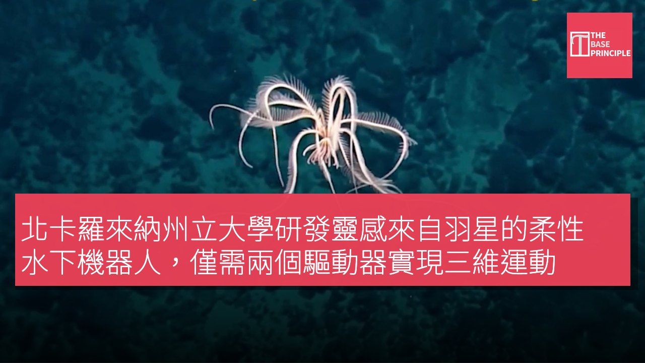 北卡羅來納州立大學研發靈感來自羽星的柔性水下機器人,僅需兩個驅動器實現三維運動