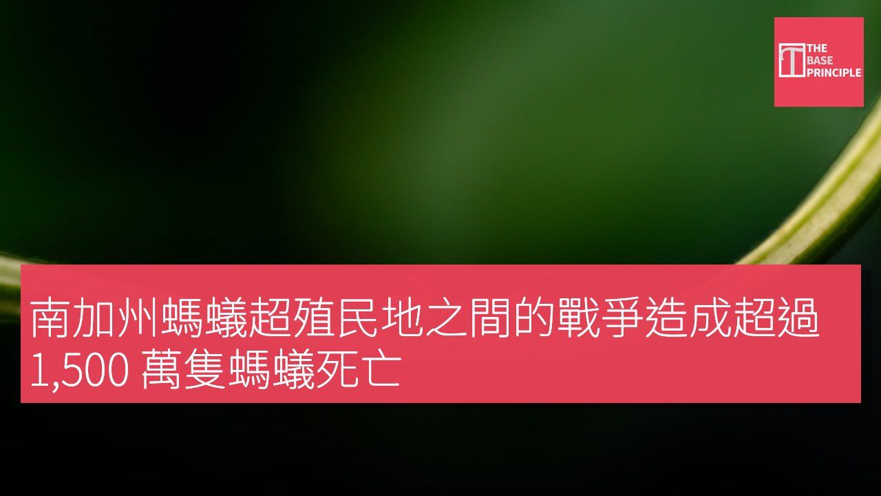 南加州螞蟻超殖民地之間的戰爭造成超過 1,500 萬隻螞蟻死亡
