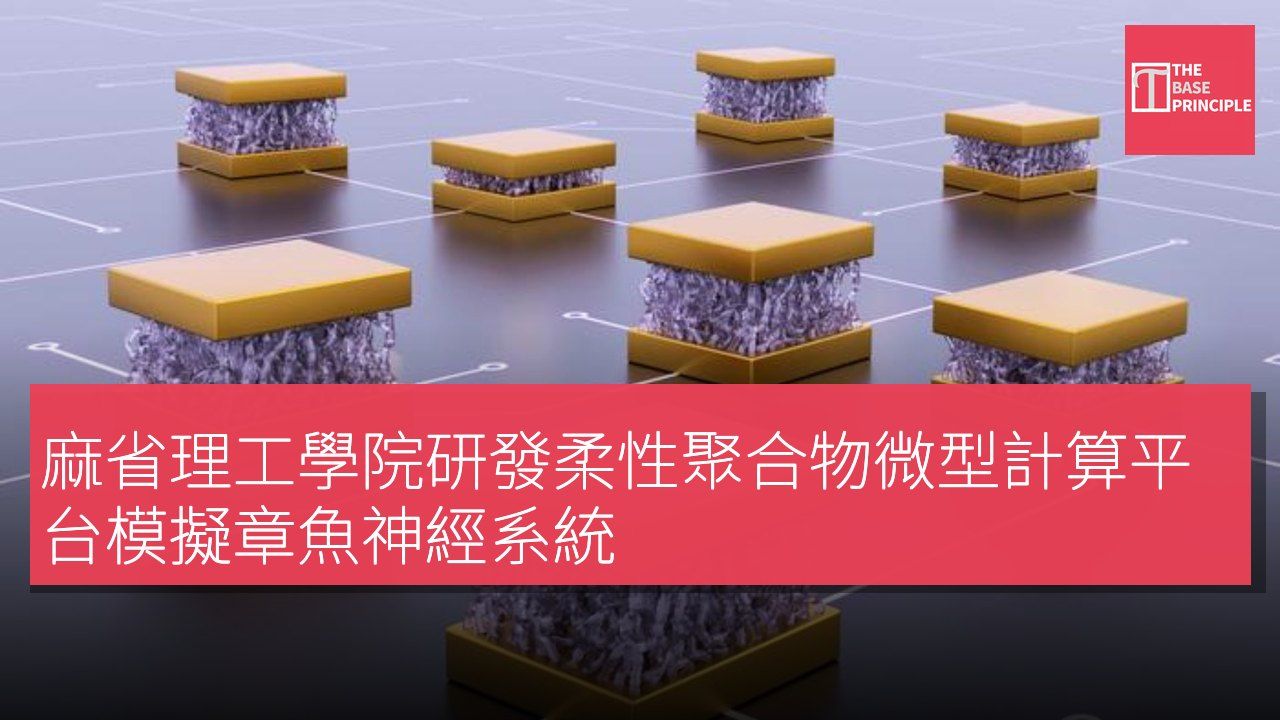 麻省理工學院研發柔性聚合物微型計算平台模擬章魚神經系統