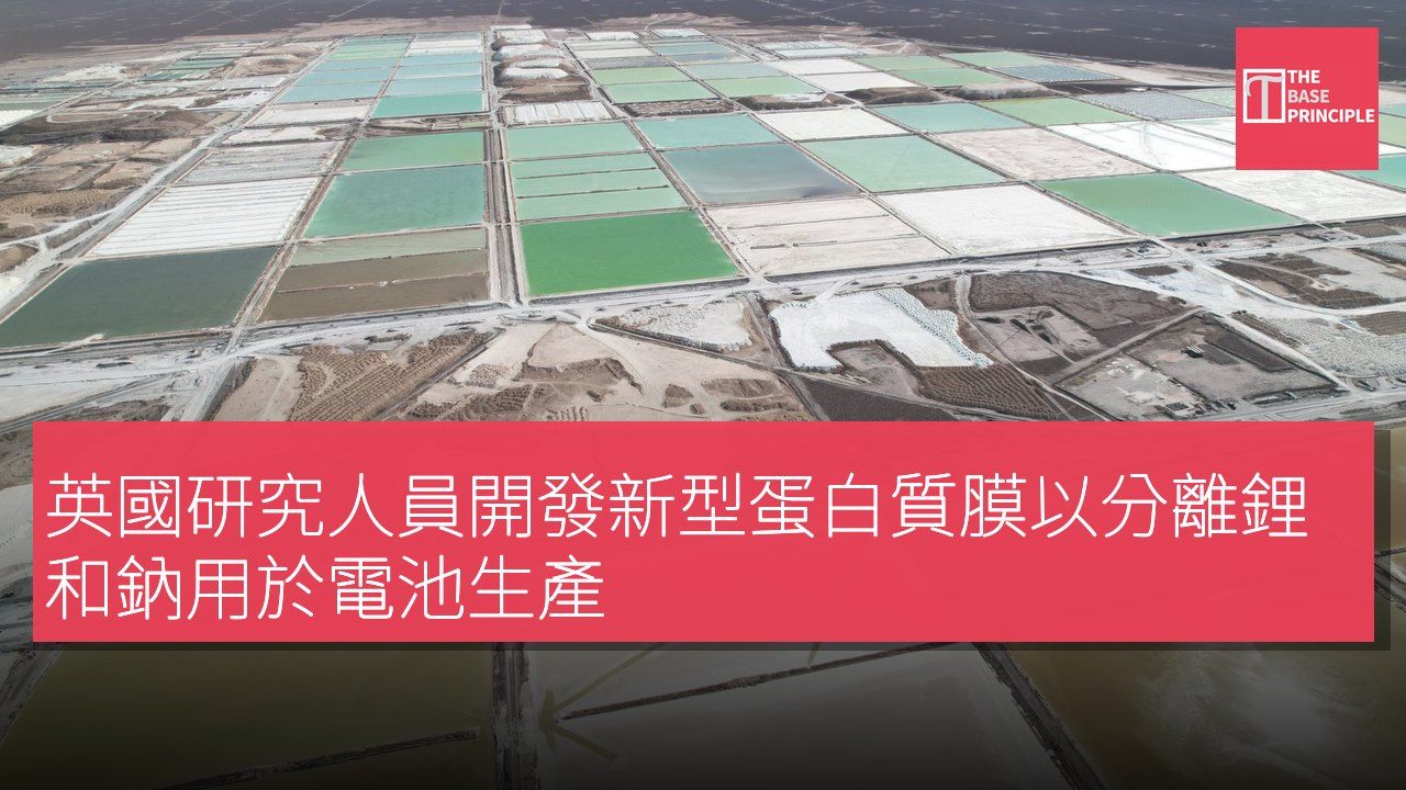 英國研究人員開發新型蛋白質膜以分離鋰和鈉用於電池生產
